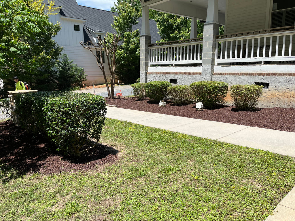 Trimming and pruning