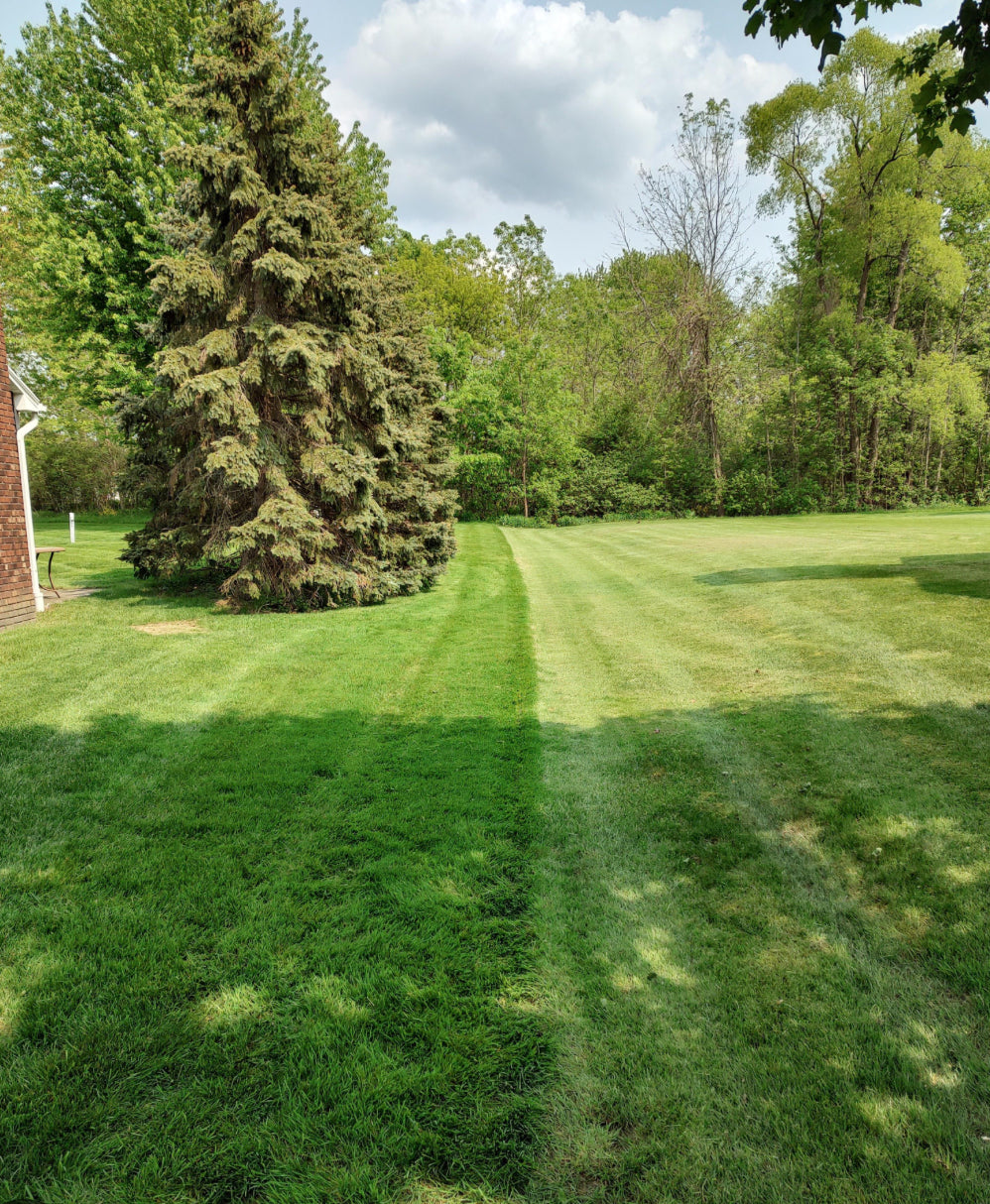 Mowing