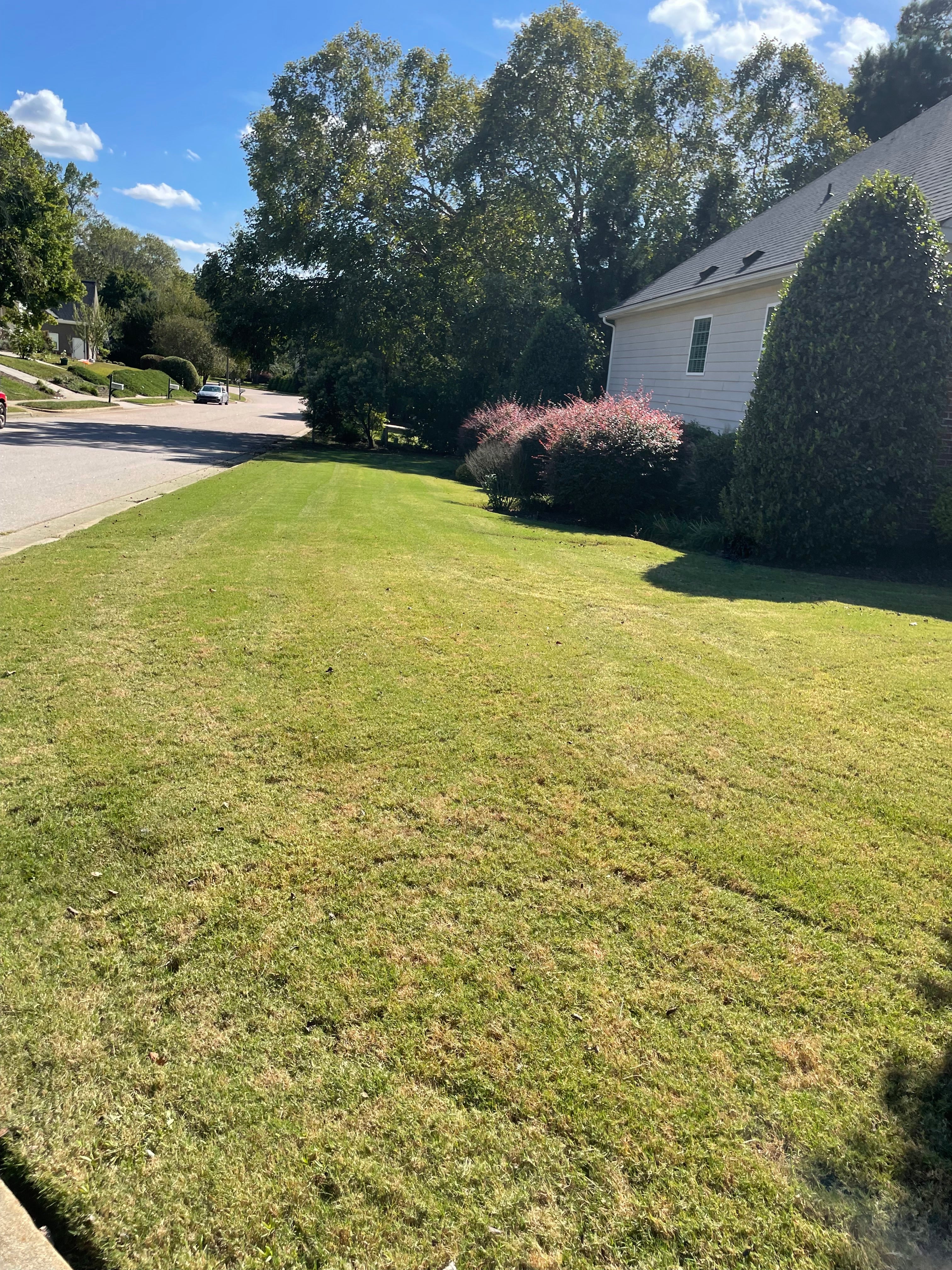 Mowing