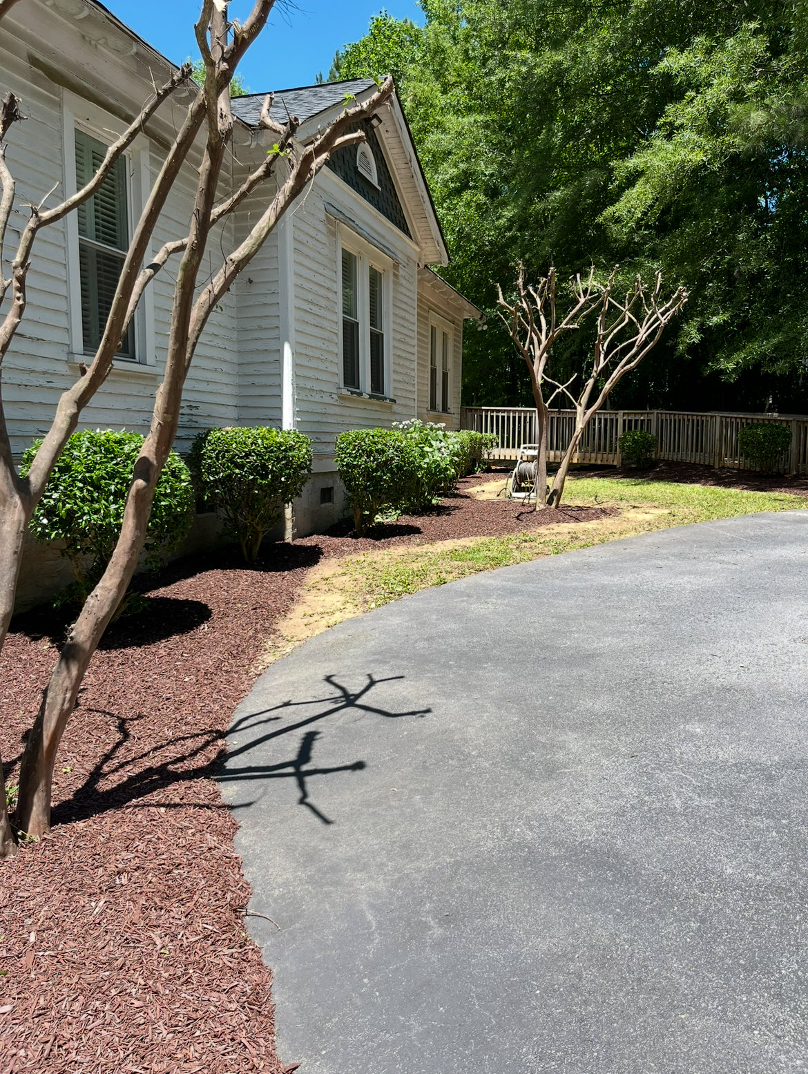 Trimming and pruning