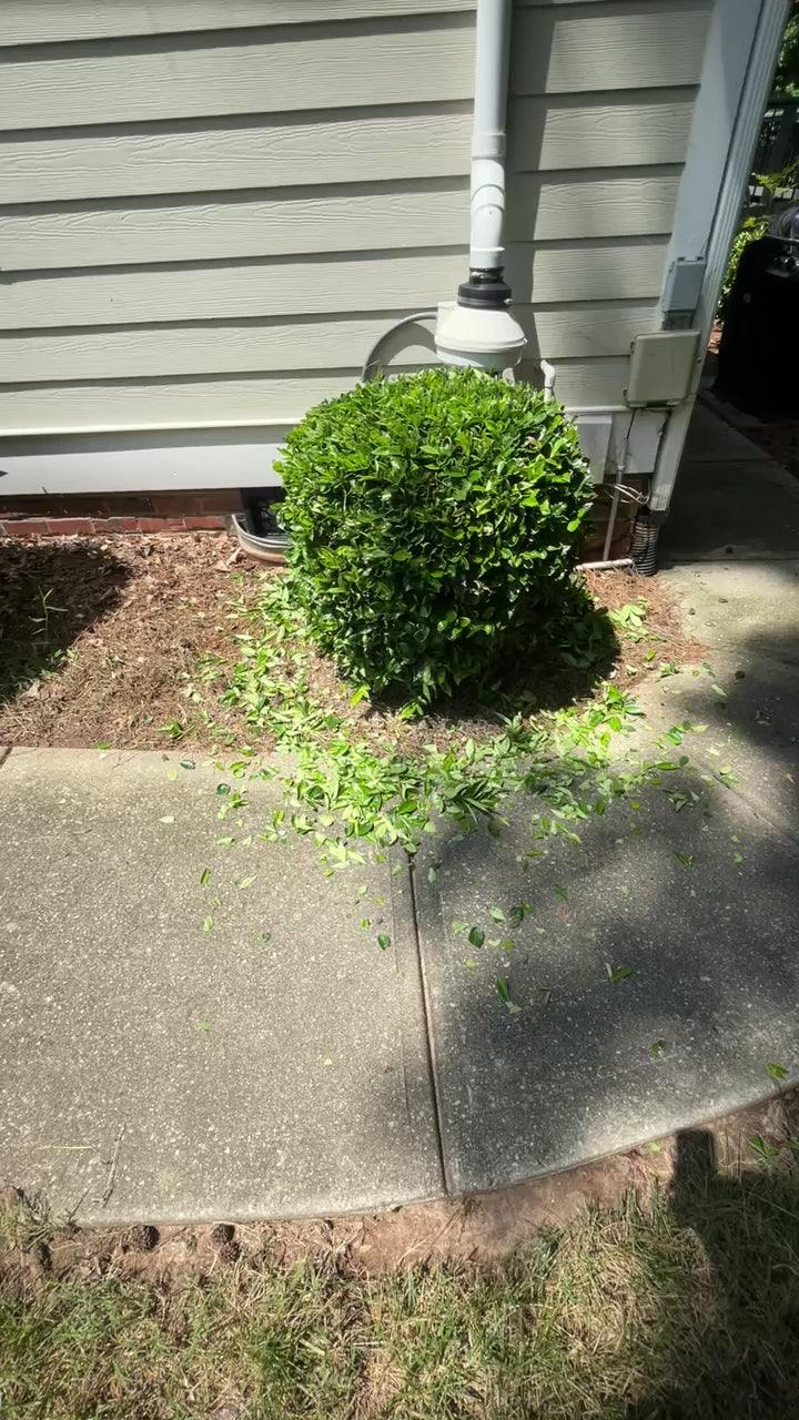 Trimming and pruning